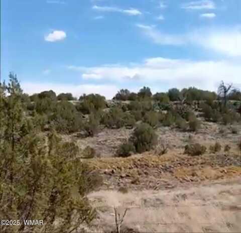 8594 Bobcat Drive, Show Low, AZ 85901