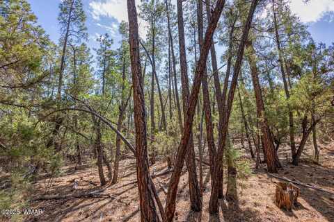 2038 Pine Wood Lane, Pinetop, AZ 85935