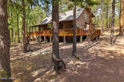 8 County Road 2083, Alpine, AZ 85920