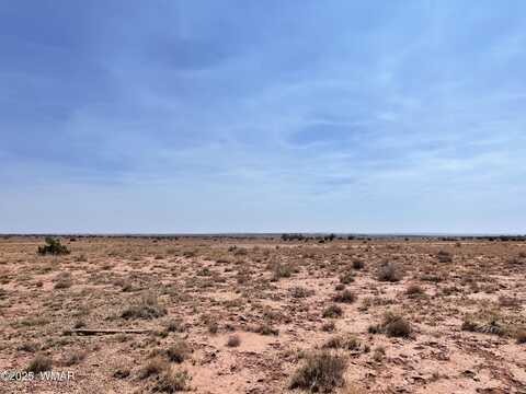 8191 E Concho Highway Parcel D, Snowflake, AZ 85937