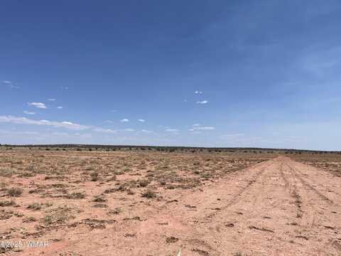 8191 E Concho Highway Parcel C, Snowflake, AZ 85937