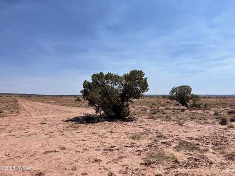 8191 E Concho Highway Parcel B, Snowflake, AZ 85937