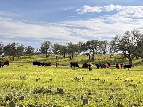 300 Private Road 626, Voca, TX 76887