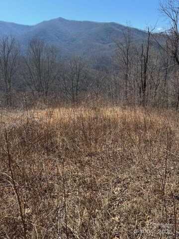 Rickman Ridge, Canton, NC 28716