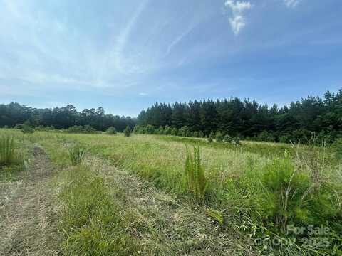 Highway 73, Iron Station, NC 28080