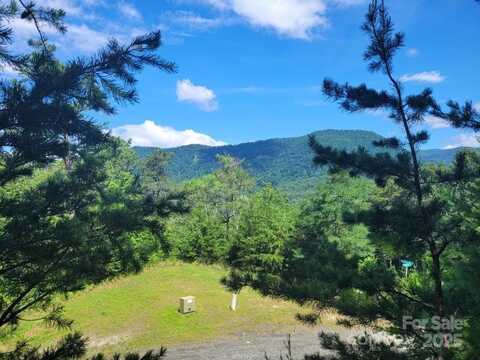 Maureen Parkway lot: 72, Marion, NC 28752