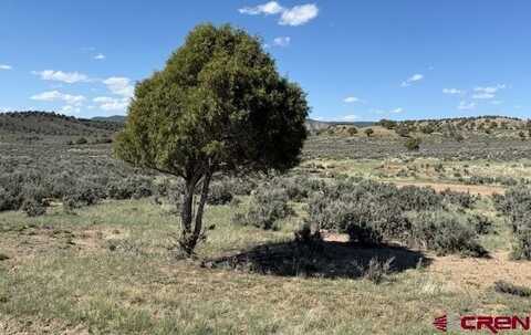 X Rockcliff Circle, Pagosa Springs, CO 81147