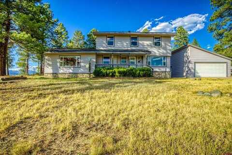 111 Pineview Court, Pagosa Springs, CO 81147
