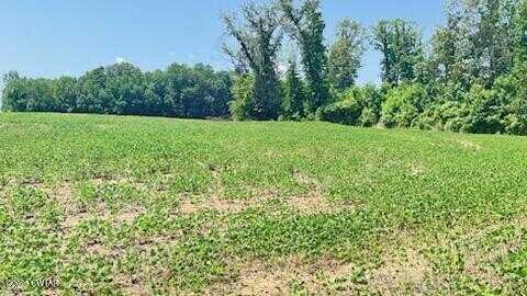 0 Roy Hargrove, Medina, TN 38355