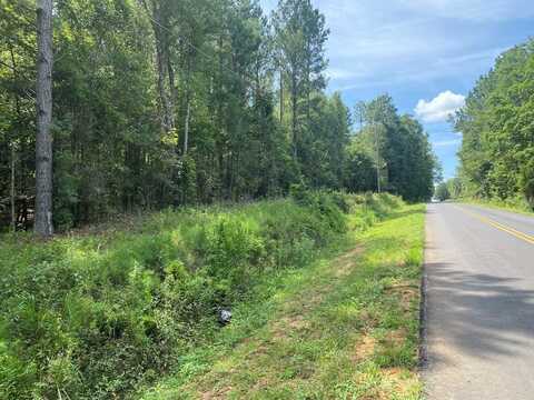 0 Drew Rd & Huskey Rd, Dothan, AL 36303