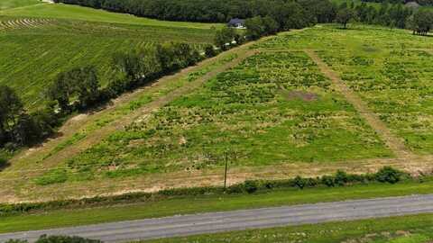 0-LOT 4 County Road 17, Headland, AL 36345