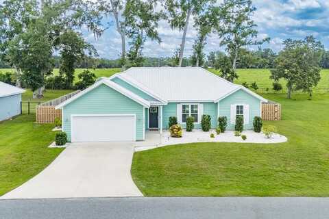 7710 Juanita Pl, Fanning Springs, FL 32693