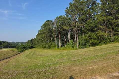 4451 Hwy 431 S, Eufaula, AL 36027
