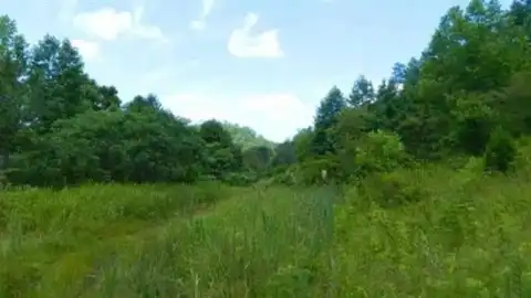0 Laurel Creek Rd (DB 344, DP 515), Louisa, KY 41230
