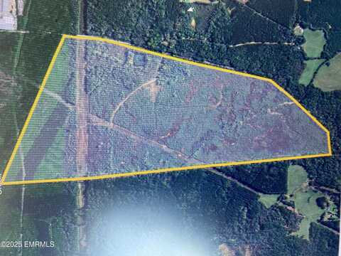 Rd 2434, Philadelphia, MS 39301