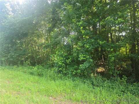 Rockfish Road, Raeford, NC 28376