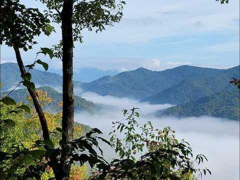 Lot 205 Battle Branch Rd., Bryson City, NC 28713