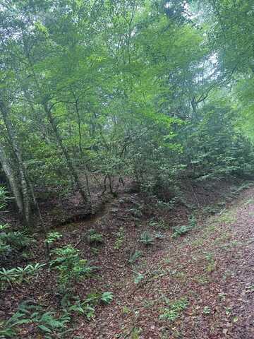 Willow Pond Road, Franklin, NC 28734