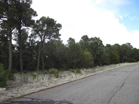 207 VIA SEDILLO Road, Tijeras, NM 87059