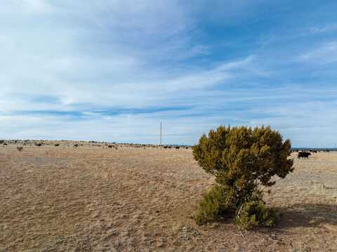 Portillo Creek Ranch, Tract 12, Santa Rosa, NM 88435