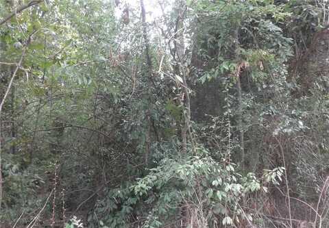 0 Waters Street, Monticello, GA 31064