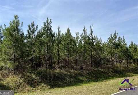 Lot 7 Whitfield, Elko, GA 31025