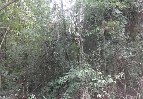 0 Waters, Monticello, GA 31064