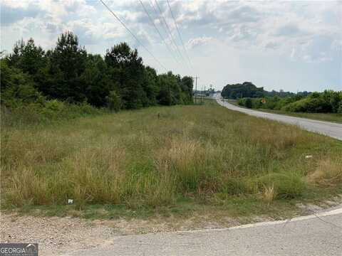 Hwy 51 OWL HOLLOW, Carnesville, GA 30521