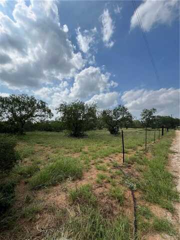 00 Riojas Road, San Isidro, TX 78588