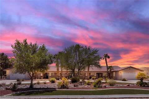 825 W Ryan Avenue, Overton, NV 89040