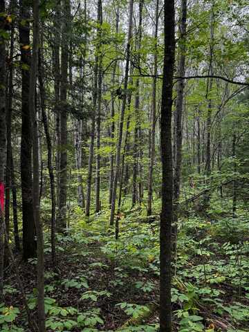 Pinelake PINE LAKE RD, Minocqua, WI 54548
