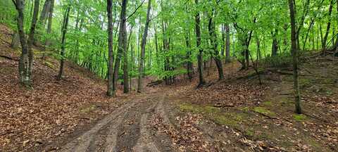 Avenue D, Pentwater, MI 49449