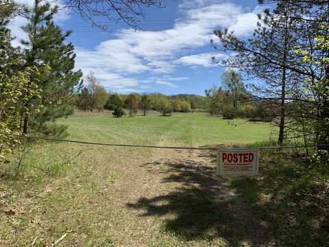 V/L S Grandview Highway, Harrietta, MI 49638