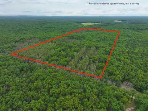 7376 W 7 Mile Road, Irons, MI 49644