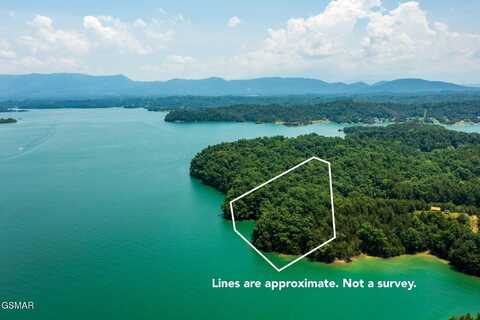Parcel 020 Douglas Lake, Dandridge, TN 37725