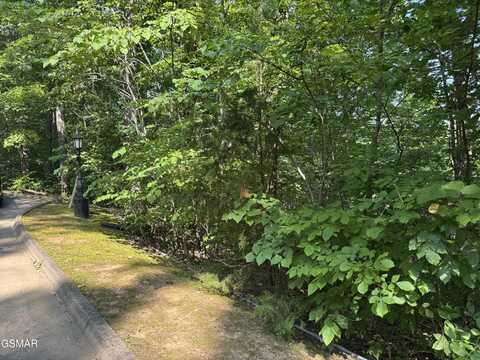2432 Hawks Nest Way, Sevierville, TN 37862