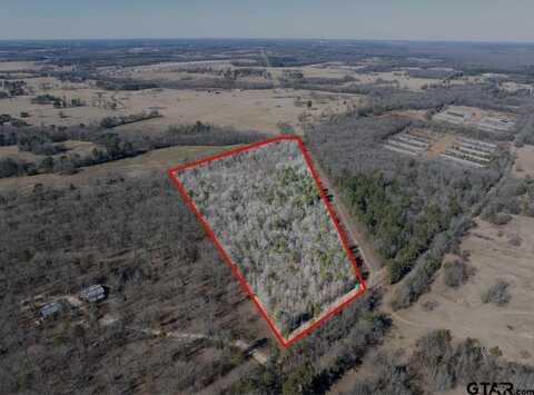 TBD County Road 4246, Pittsburg, TX 75686