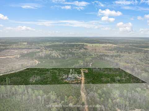 Parcel 1 Stephens Cemetery Rd., Silver Creek, MS 39663