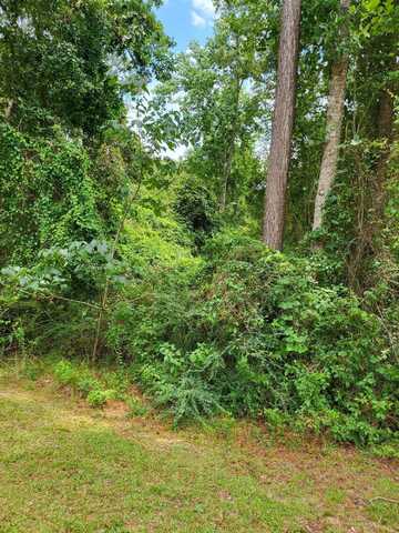 Lot 70 Lakeside Drive, Carriere, MS 39426