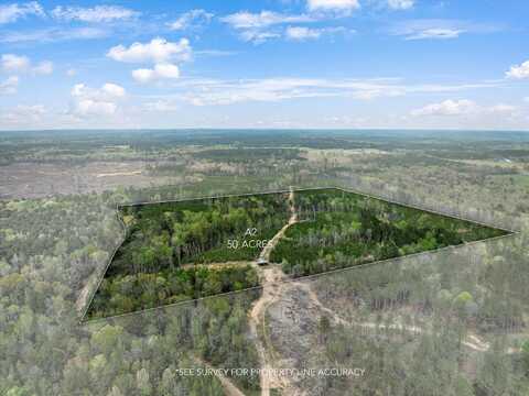 Parcel 2 Stephens Cemetery Rd., Silver Creek, MS 39663