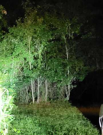 Lot of 3 Satcher Drive, Picayune, MS 39466