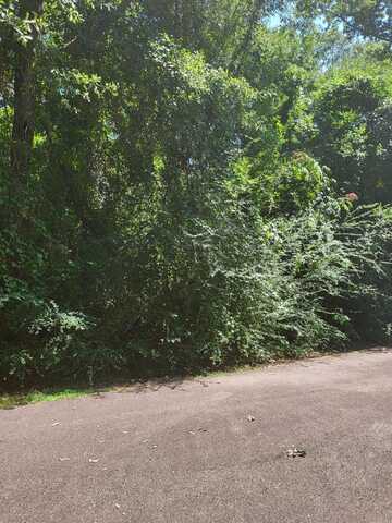 Lot #1047 Edgewood Cir., Carriere, MS 39426