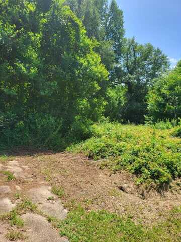 Lot 254 Petal Drive, Petal, MS 39465