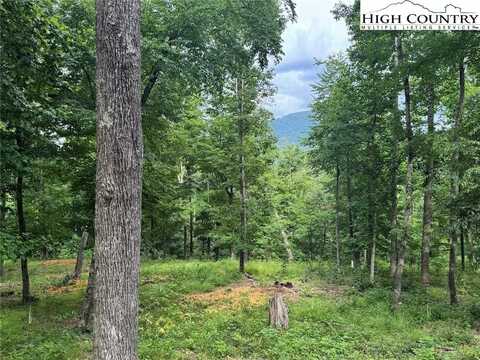 Tbd Autumn Lane, West Jefferson, NC 28694