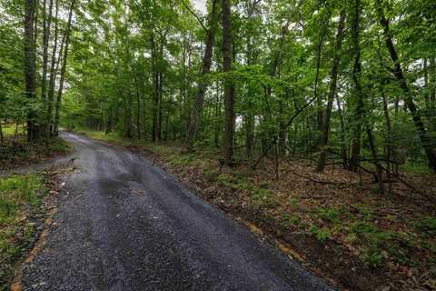 0 TOWER MOUNTAIN LN, MOUNT JACKSON, VA 22842
