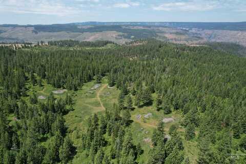 Tbd Sickfoot Road, Wallowa, OR 97885