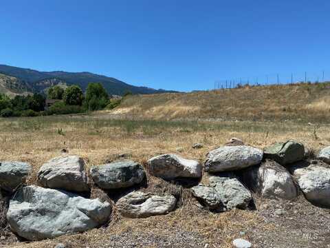 #30 Rivers Bend Rd, White Bird, ID 83554