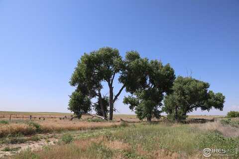 undefined, La Salle, CO 80645
