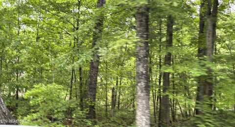 5002 Crazy Horse Drive, Crossville, TN 38572