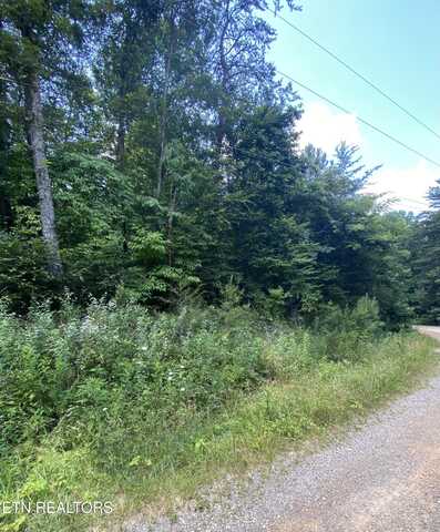Lot 3 Welch Rd, Tellico Plains, TN 37385